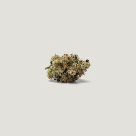 Spidey Sauce Feminized Seeds-PCG-SPSA-FEM