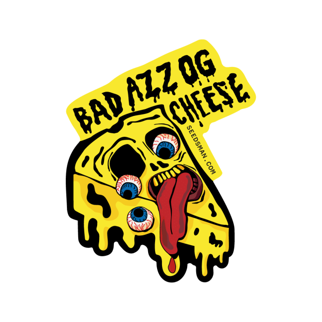 Badazz OG Cheese Feminisiert Saatgut-SMANBACH