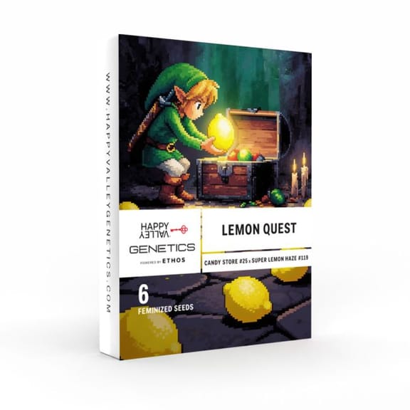 Lemon Quest Feminised Seeds-HAVG-LEQU-FEM