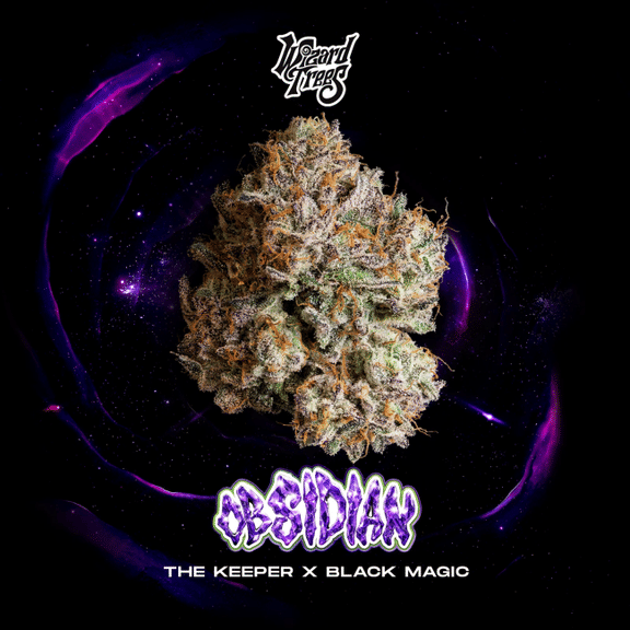 Obsidian Feminised Seeds-WIZT-OBSI-FEM