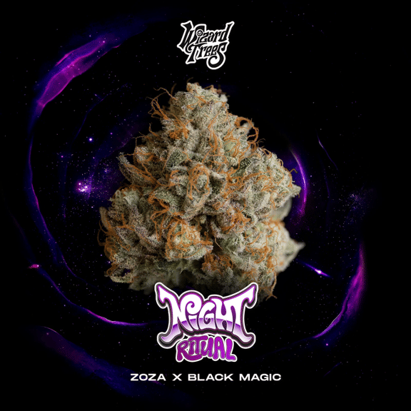 Night Ritual Feminised Seeds-WIZT-NIRI-FEM