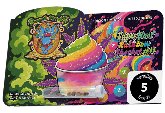 Super Boof x RS11 Feminisiert Samen-SS-SBXRS11-FEM