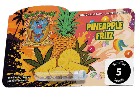 Pineapple Fruz Feminisiert Samen-SS-PIFR-FEM