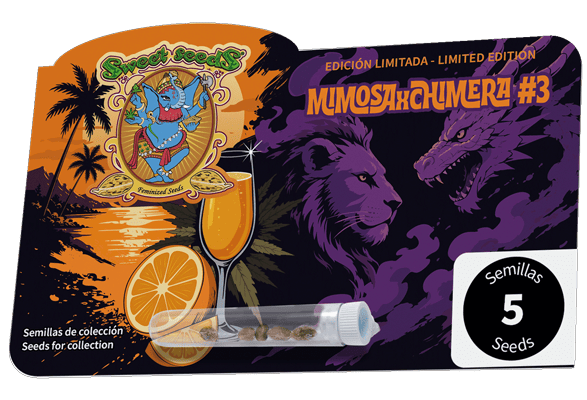Mimosa x Chimera #3 феминизирани семена-SS-MIXCH3-FEM