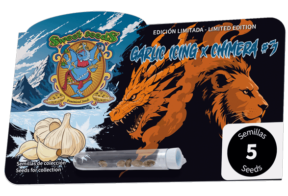 Garlic Icing x Chimera #3 Feminizowane Nasiona-SS-GIXCH3-FEM