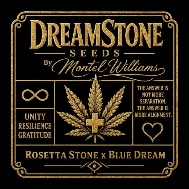 DreamStone By Montel θηλυκοποιημένα σπόροι-BGS-DRST-FEM