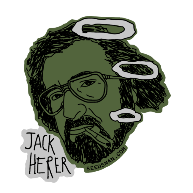 Jack Herer Feminisiert Saatgut-jack-herer-fem