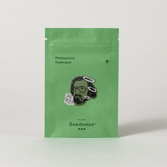 Jack Herer Feminizované Semena-jack-herer-fem