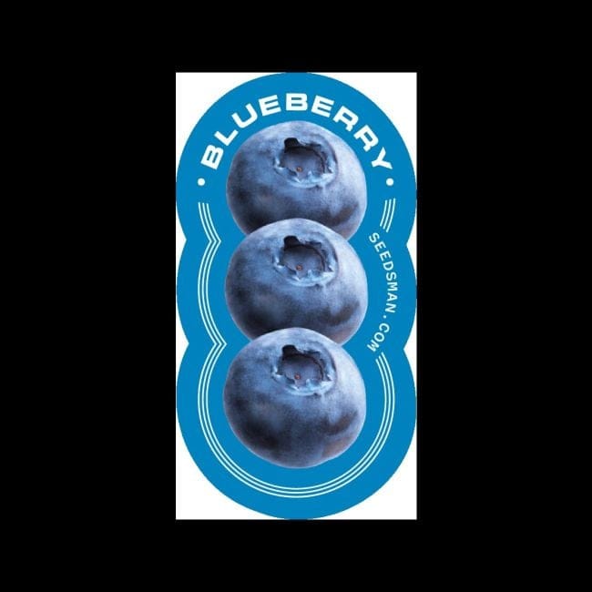 Blueberry Feminised Seeds-blueberry-fem
