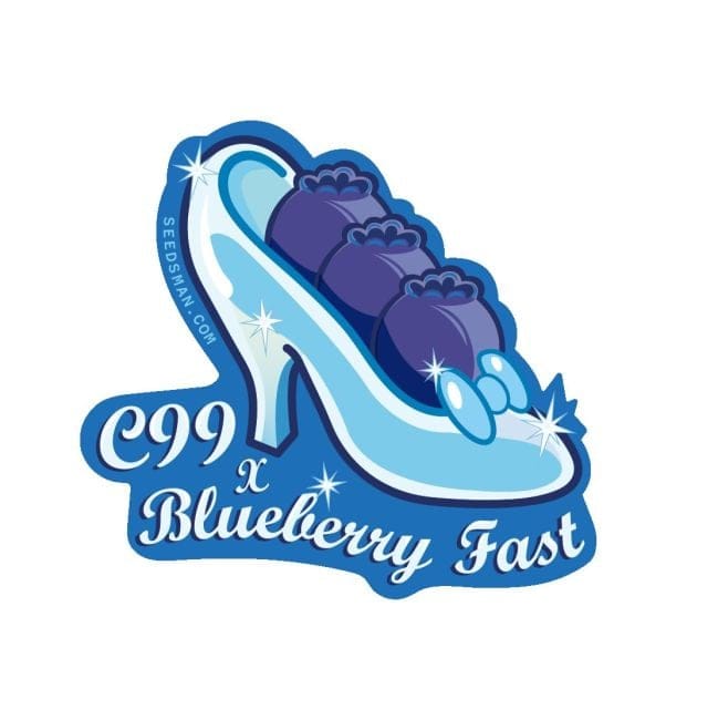 C99 x Blueberry Fast Feminized Seeds-SMAN-C99BB-FAST-FEM