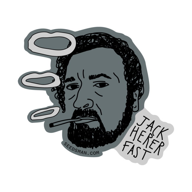 Jack Herer Schnell Feminisiert Saatgut-SMAN-JCKHR-FAST-FEM