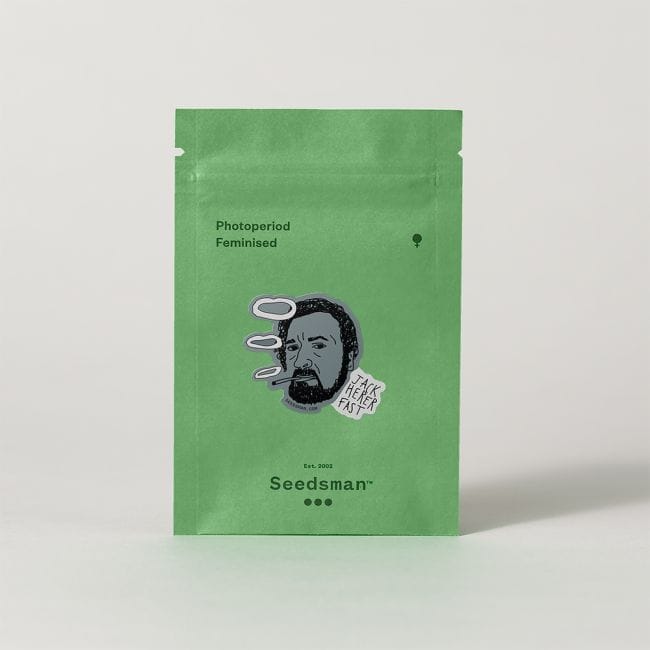 Jack Herer Rapide Féminisée Semences-SMAN-JCKHR-FAST-FEM