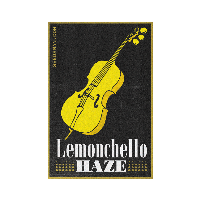 Lemonchello Haze Feminised Seeds-SMANLH