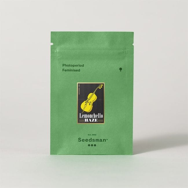 Lemonchello Haze Feminised Seeds-SMANLH
