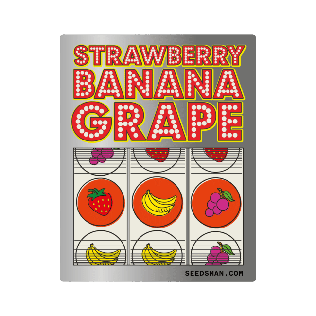 Strawberry Banana Grape феминизирани семена-SMANSTB