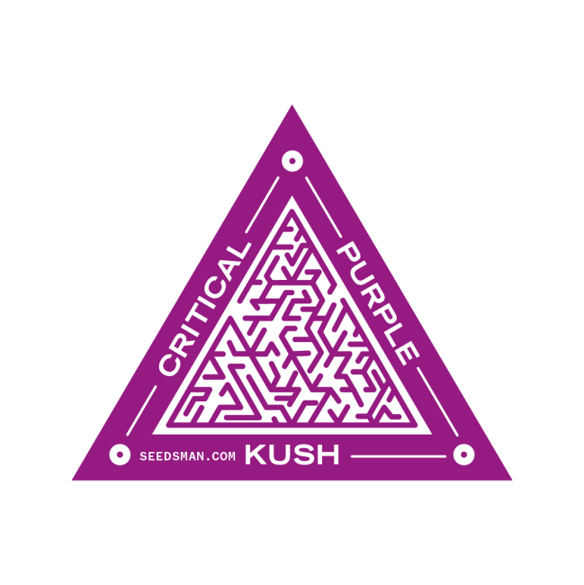 Critical Purple Kush Feminised Seeds-SMANCPK