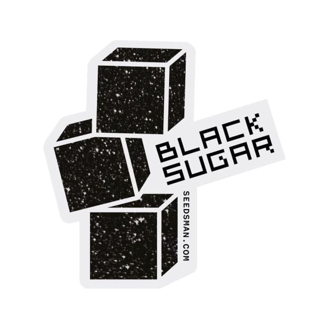 Black Sugar Feminized Seeds-SMANBLS