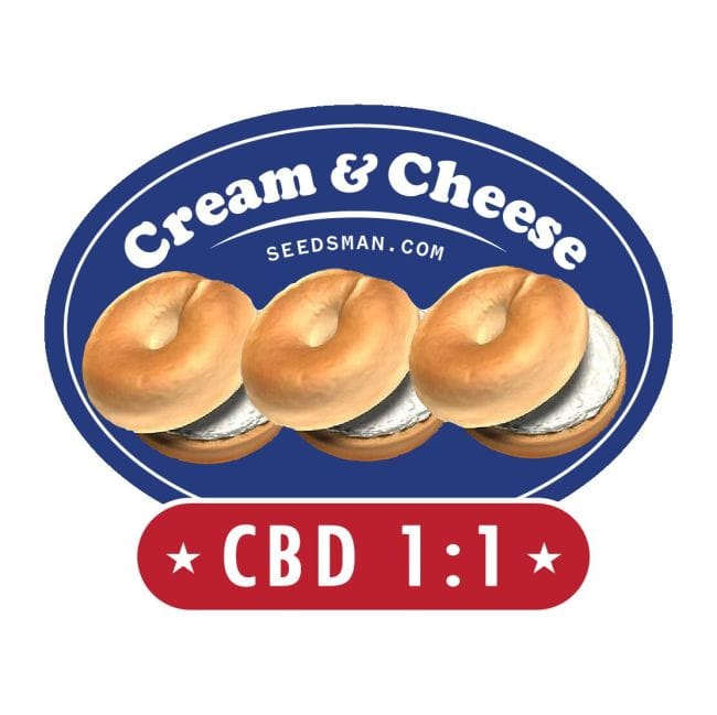 Cream & Cheese CBD 1:1 Feminisiert Saatgut-SMANCCCBD