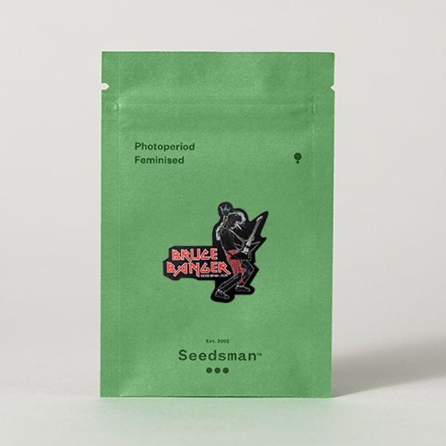 Bruce Banger Feminized Seeds-SMANBB