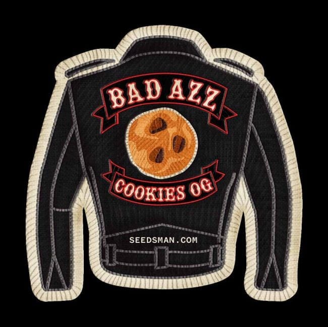 Badazz Cookies OG феминизирани семена-SMANBCOG