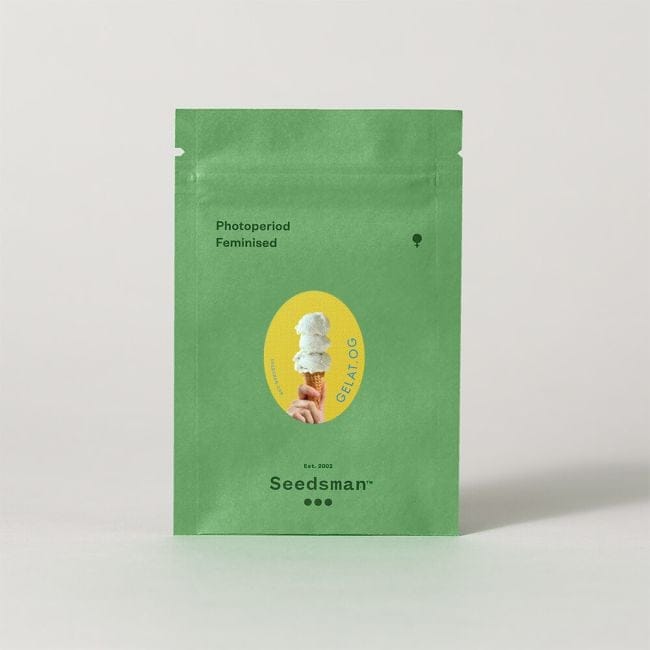 Gelat.OG Féminisée Semences-SMANGELOG
