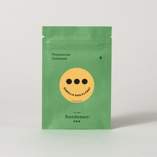Gorilla Gas F1 Fast Feminised Seeds-SMAN-GOGA-FAST-FEM