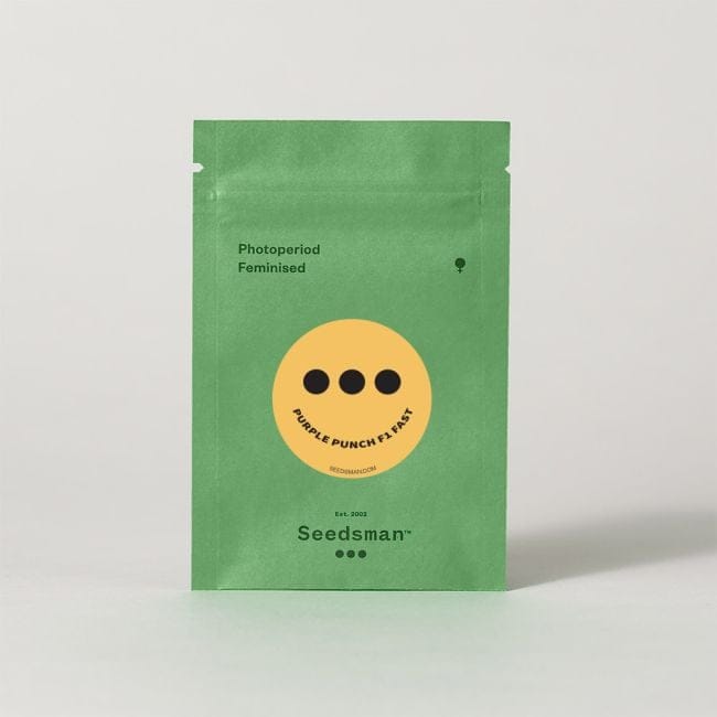 Purple Punch F1 Fast Feminised Seeds-SMAN-PUPU-FAST-FEM