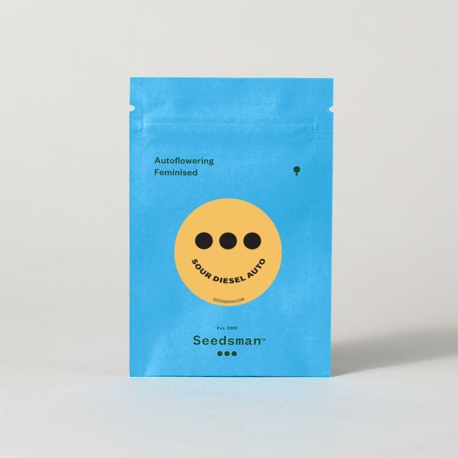 Sour Diesel Auto Feminised Seeds-SMAN-SODI-AUTO-FEM