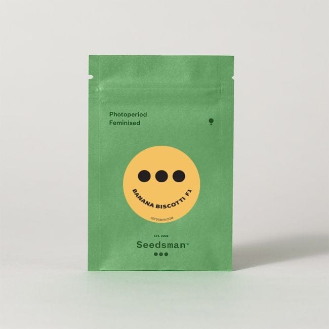 Banana Biscotti F1 феминизирани семена-SMAN-BABI-FEM
