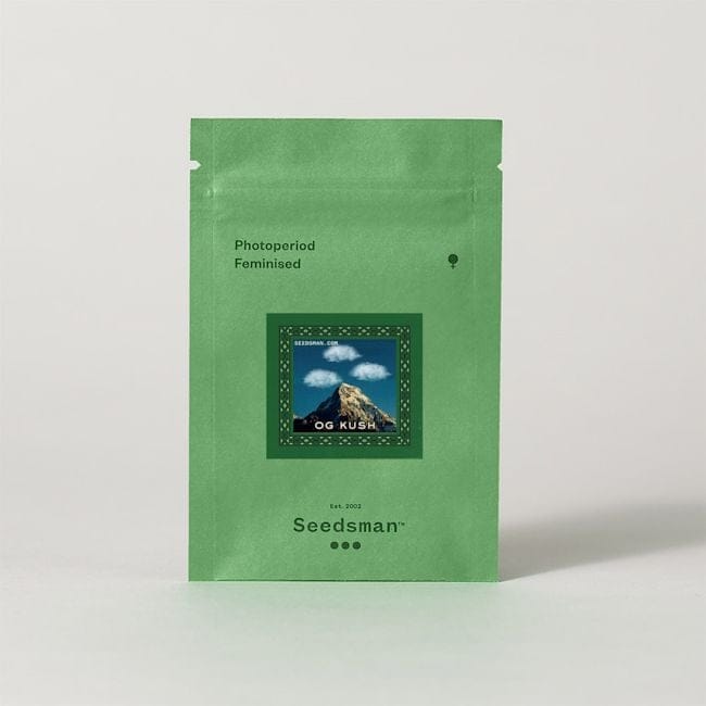 OG Kush Feminisiert Saatgut-SMAN-OGKU-FEM