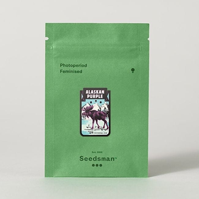 Alaskan Purple Féminisée Semences-SMAN-ALPURP-FEM