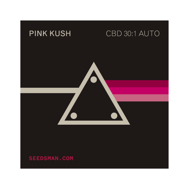 Pink Kush CBD 30:1 Auto Feminisiert Saatgut-SMAN-PINK-CBD-AUTO-FEM