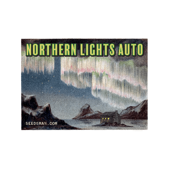 Northern Lights Auto Feminized Seeds-SMAN-NL-AUTO-FEM