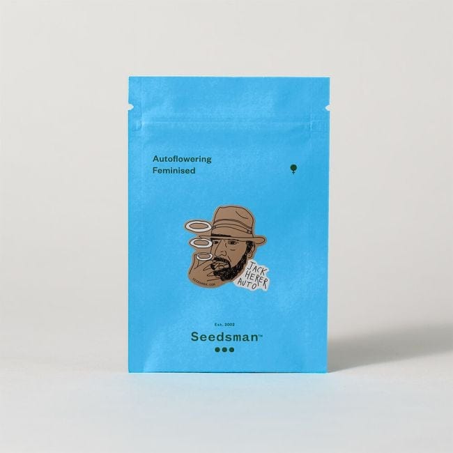 Jack Herer Auto Feminisiert Saatgut-SMAN-JH-AUTO-FEM