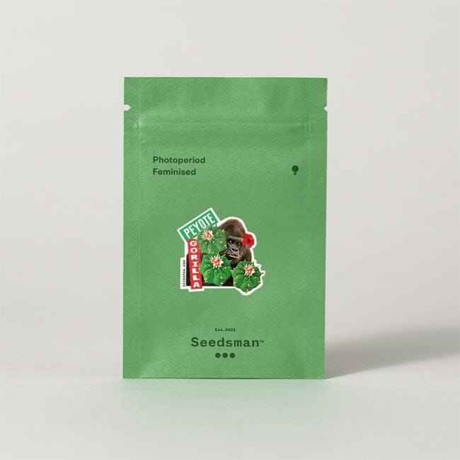 Peyote Gorilla Feminized Seeds-SMAN-PEYGOR-FEM