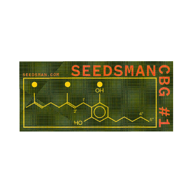 Seedsman CBG #1 Feminized Seeds-SMAN-CBG1-FEM