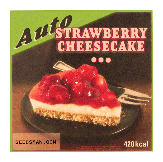 Strawberry Cheesecake Auto Feminised Seeds-SMAN-STRCHCAKE-AUTO-FEM