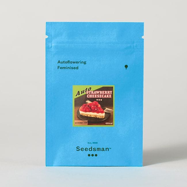 Strawberry Cheesecake Auto Feminised Seeds-SMAN-STRCHCAKE-AUTO-FEM