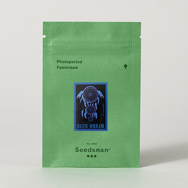 Blue Dream феминизирани семена-SMAN-BLDR-FEM
