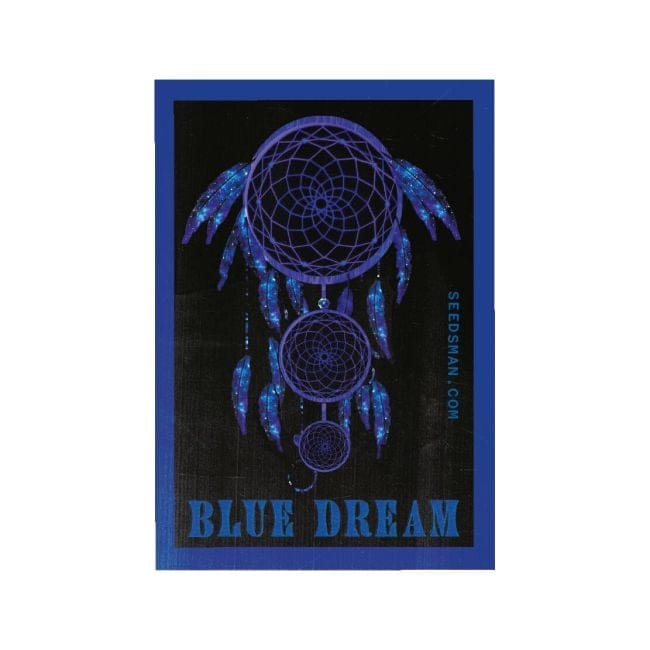 Blue Dream феминизирани семена-SMAN-BLDR-FEM