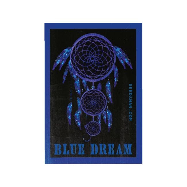 Blue Dream феминизирани семена-SMAN-BLDR-FEM