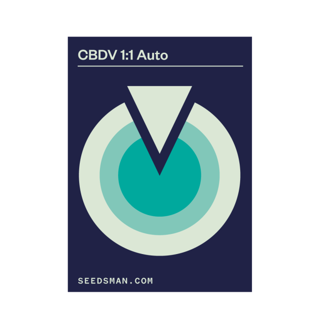 CBDV 1:1 Auto феминизирани семена-SMAN-CBDV-AUTO-FEM