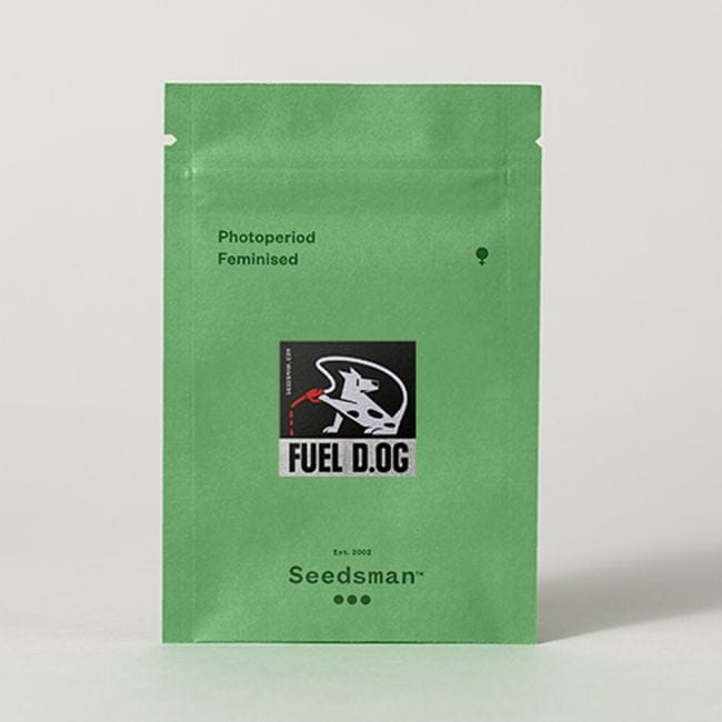 Fuel D.OG Feminized Seeds-SMAN-FUELDOG-FEM