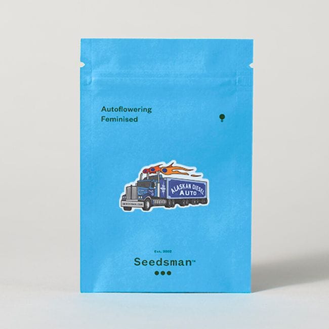 Alaskan Diesel Auto феминизирани семена-SMAN-ALDSL-AUTO-FEM