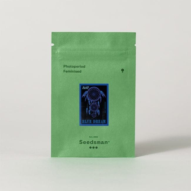 Blue Dream Rapide Féminisée Semences-SMAN-BLDR-FAST-FEM