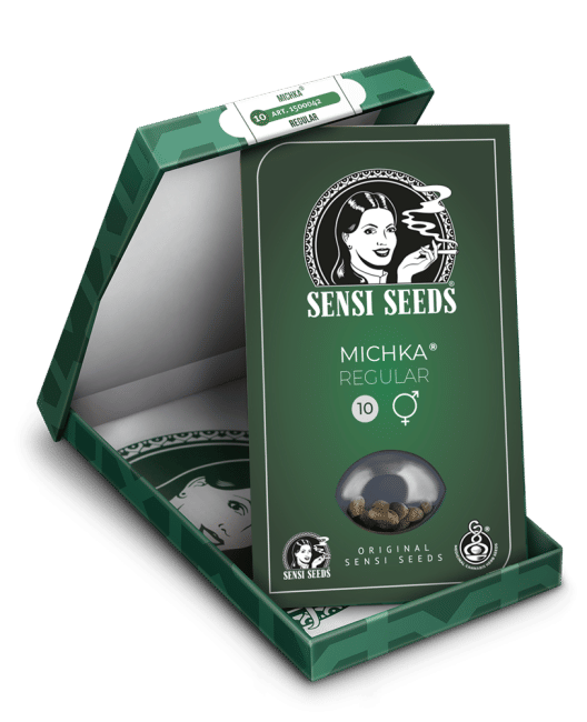 Michka Regular Seeds-SEN-MICH-REG