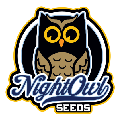 Alchemist's Apprentice Auto Feminized Seeds-NOWL-ALAP-AUTO-FEM