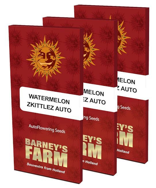 Wholesale Barney's Farm Seeds  Zkittlez OG Auto Seeds - 5 seeds