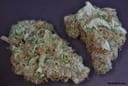 Moonshine Haze Regular Seeds - 12-RD-019