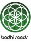 Skylotus Regular Seeds - 11-BODH-SKYL-REG